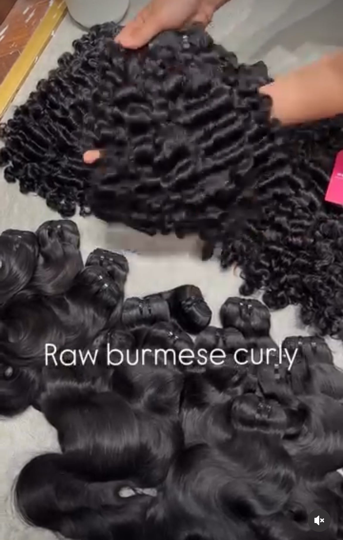 Burmese curly hair bundle laid flat C Beauty